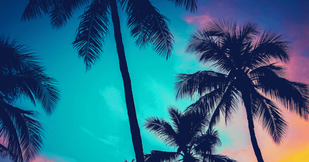 Hooponopono website banner featuring tropical sunset with palm silhouettes and colorful sky, evoking peace and tranquility.